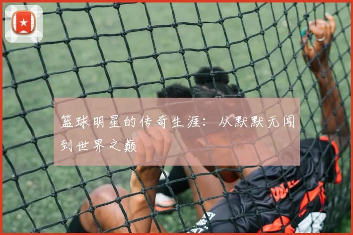 完美体育在线登录官网